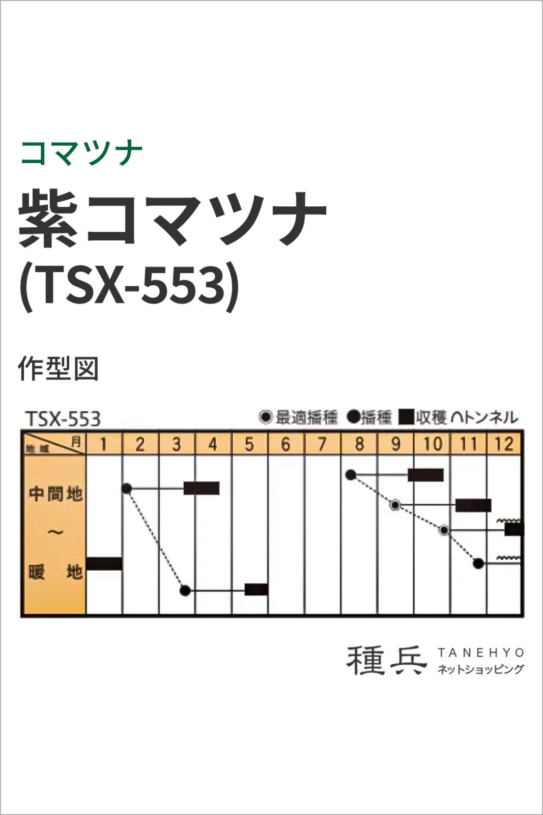 コマツナ 種 『紫小松菜(TSX-553)』 トキタ種苗 | たね,葉菜の種