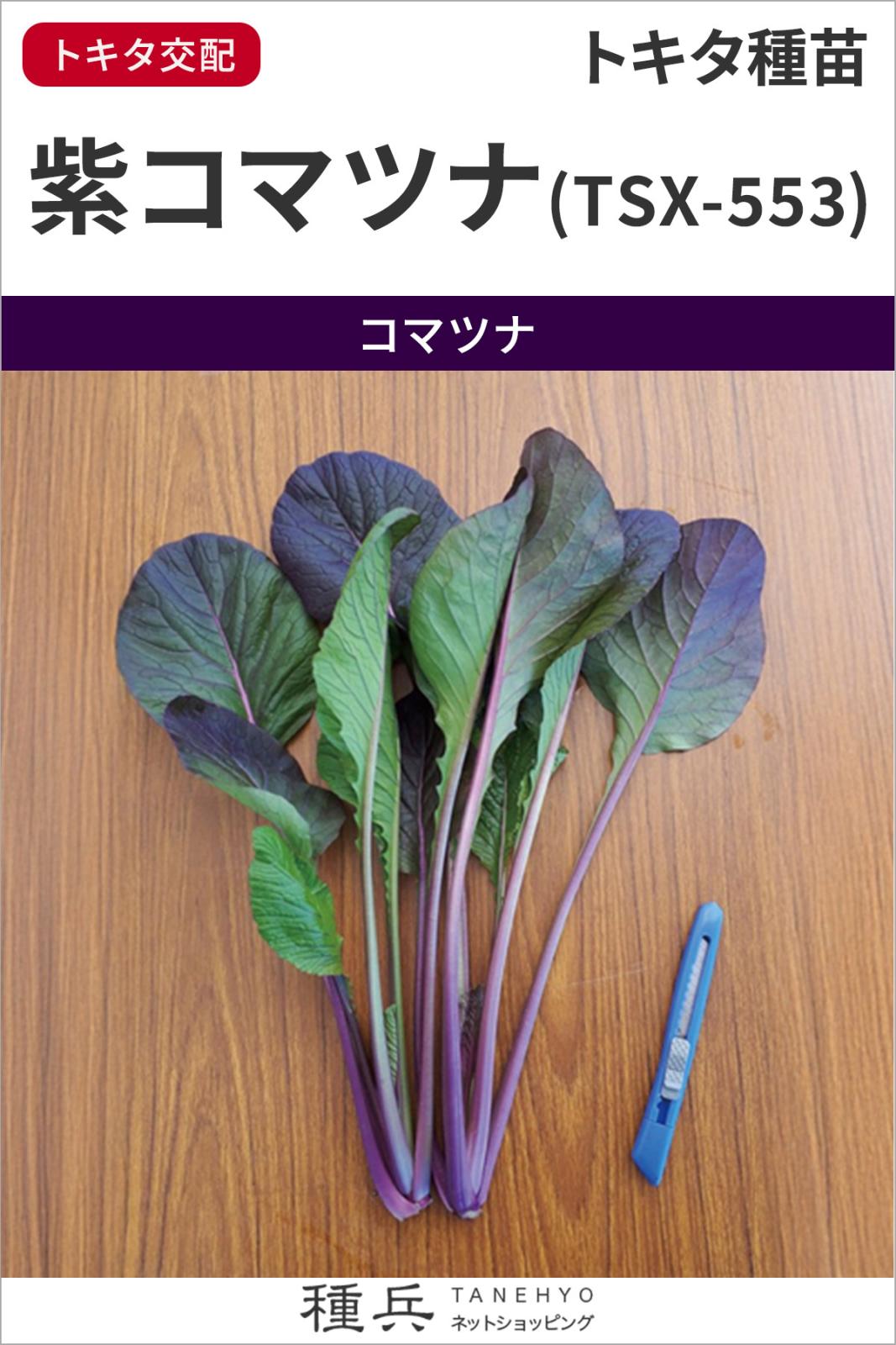 コマツナ 種 『紫小松菜(TSX-553)』  トキタ種苗