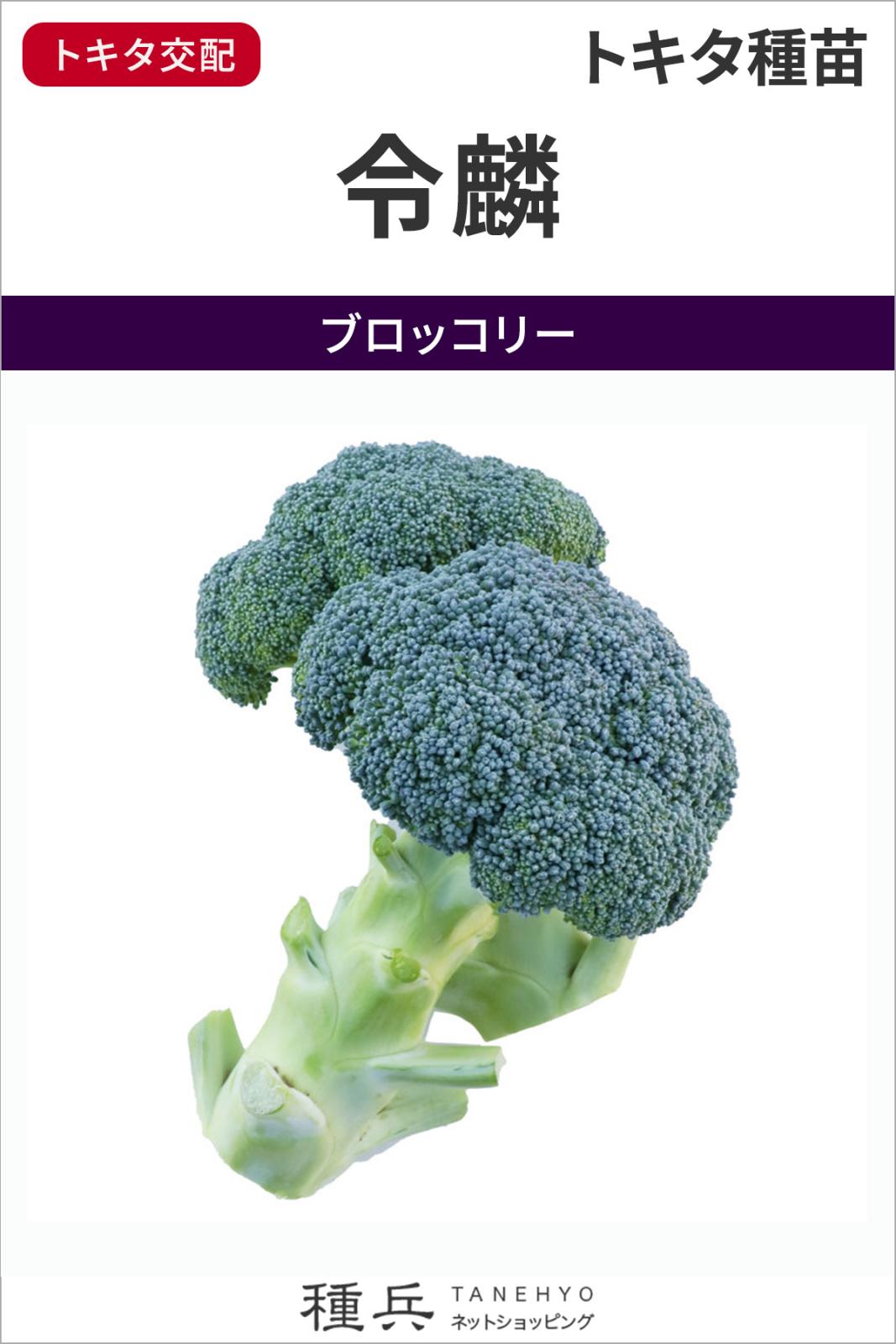 ブロッコリー 種 『令麟』  トキタ種苗