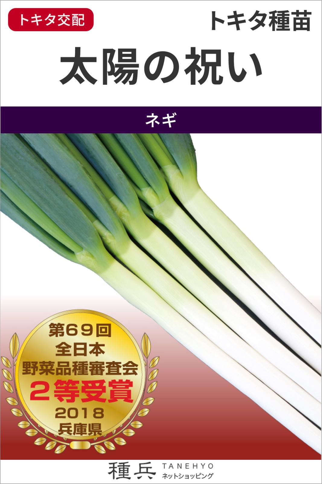 根深ネギ 種 『太陽の祝い』  トキタ種苗