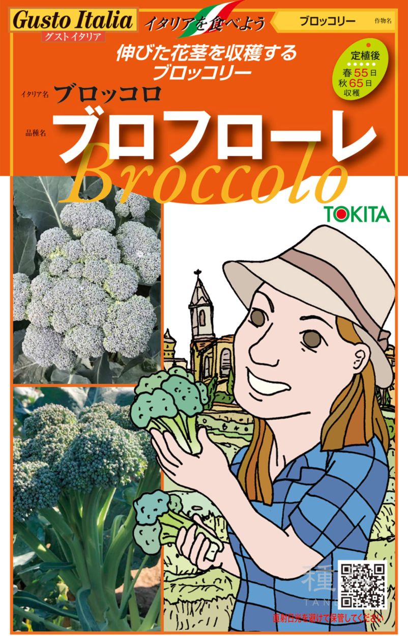 ブロッコロ 種 『ブロフローレ65』  トキタ種苗