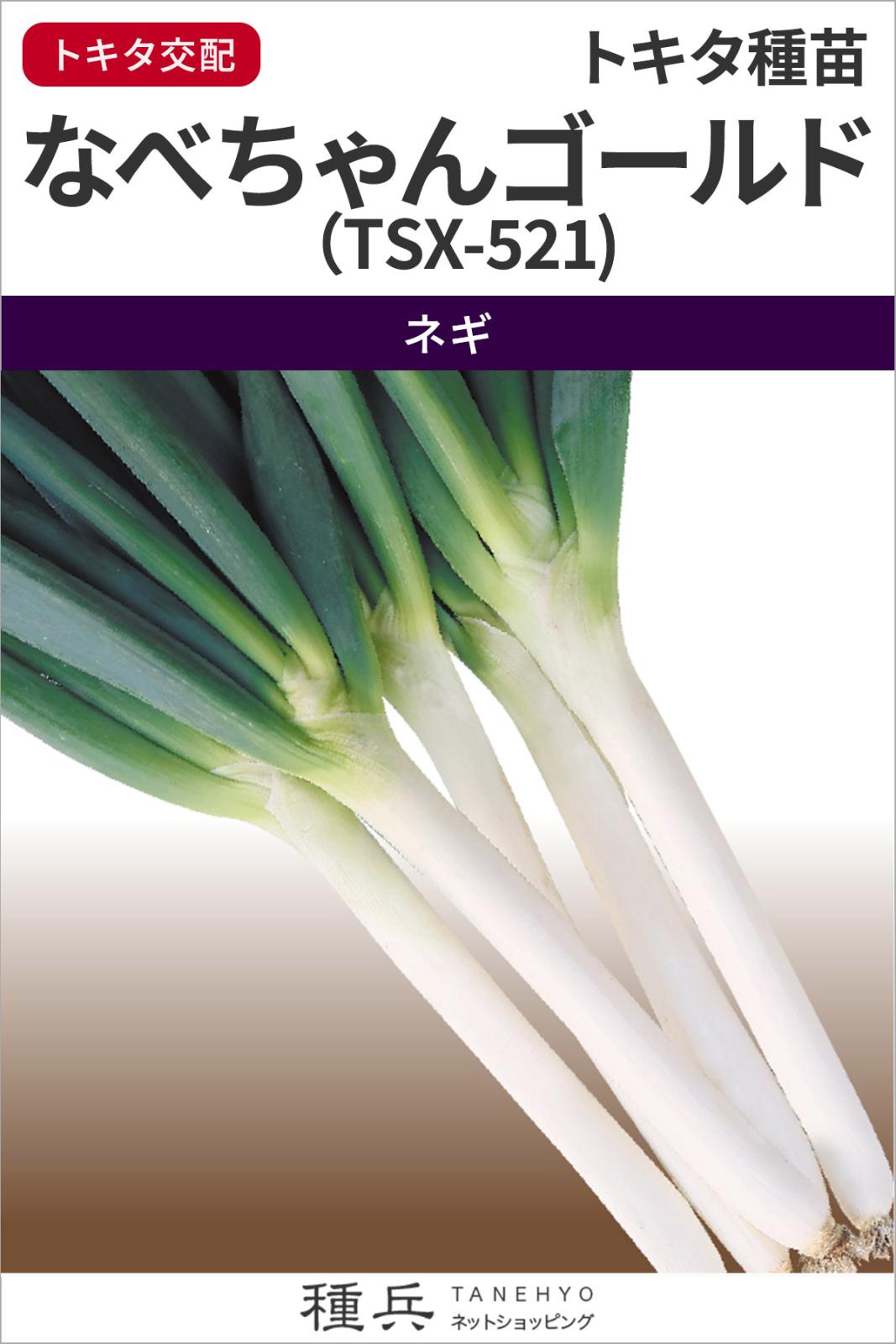 根深ネギ 種 『なべちゃんゴールド（TSX-521)』  トキタ種苗