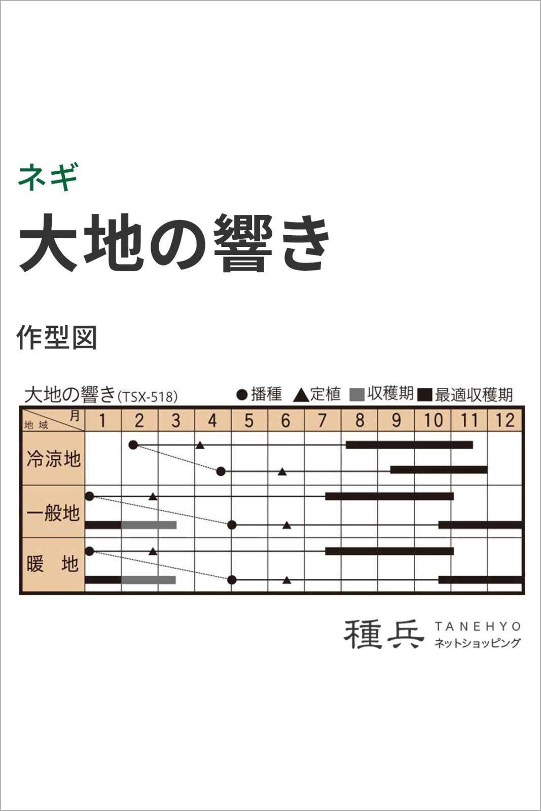 根深ネギ 種 『大地の響き』 トキタ種苗 | たね,葉菜の種,ネギ,根深