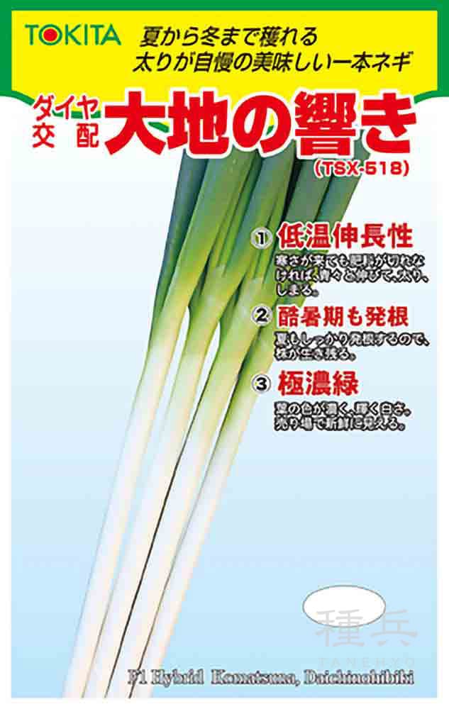 根深ネギ 種 『大地の響き』  トキタ種苗