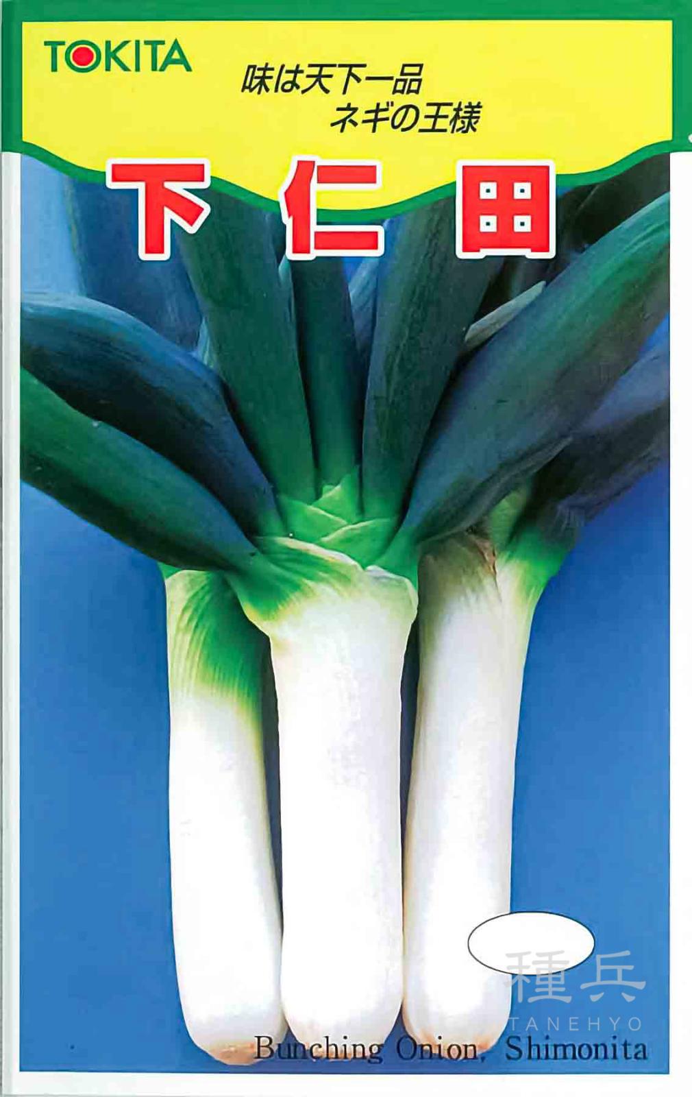 根深ネギ 種 『下仁田ネギ』  トキタ種苗