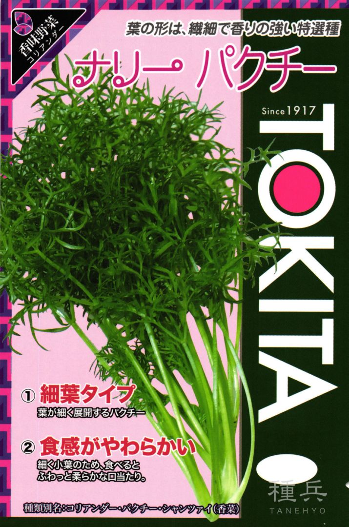 パクチー 種 『ナリーパクチー』  トキタ種苗