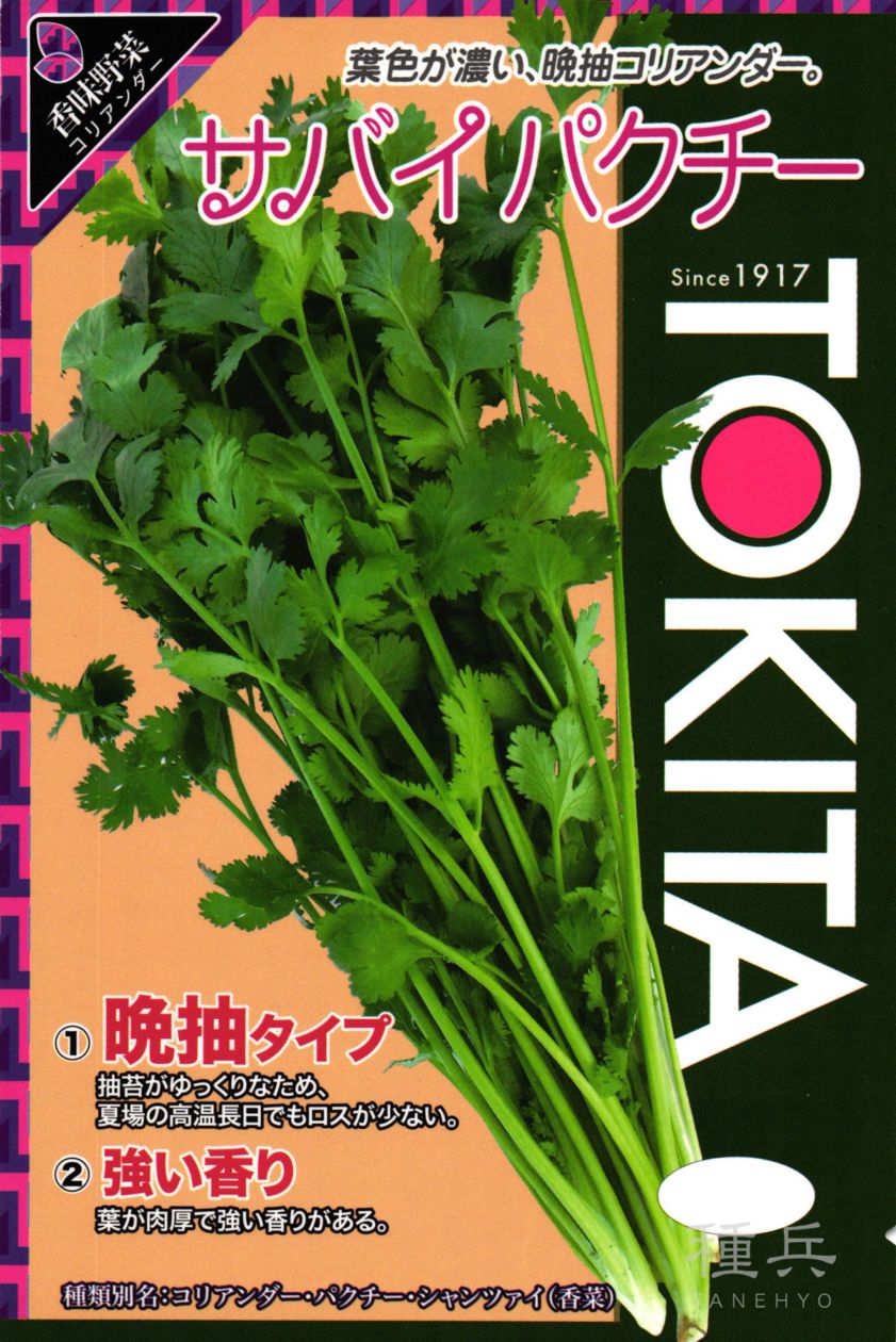 パクチー 種 『サバイパクチー』  トキタ種苗
