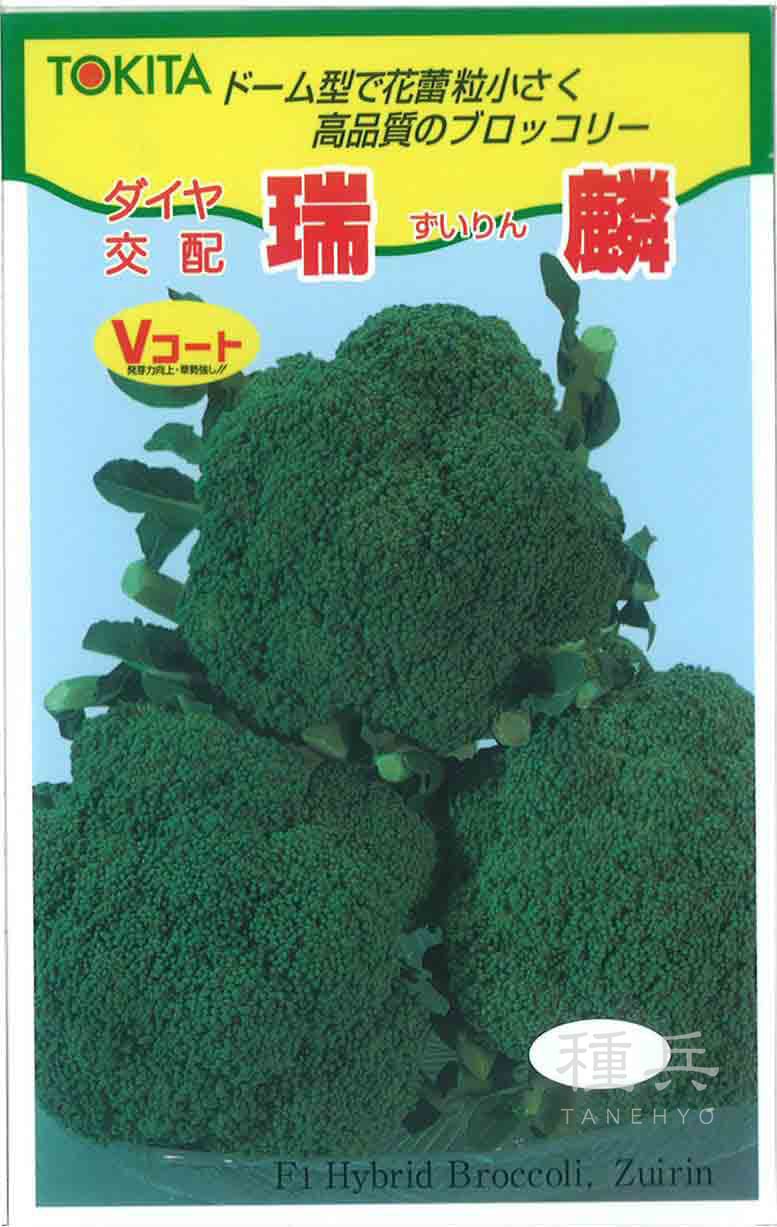 ブロッコリー 種 『瑞麟ブロッコリー』  トキタ種苗