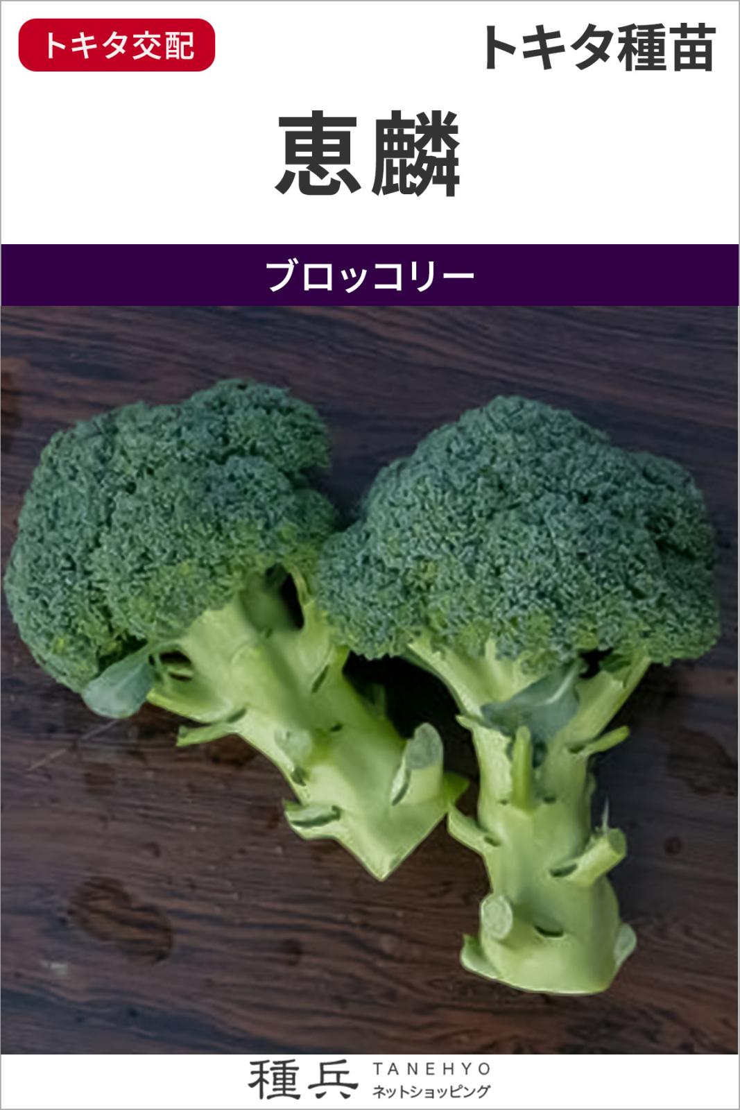 ブロッコリー 種 『恵麟』  トキタ種苗