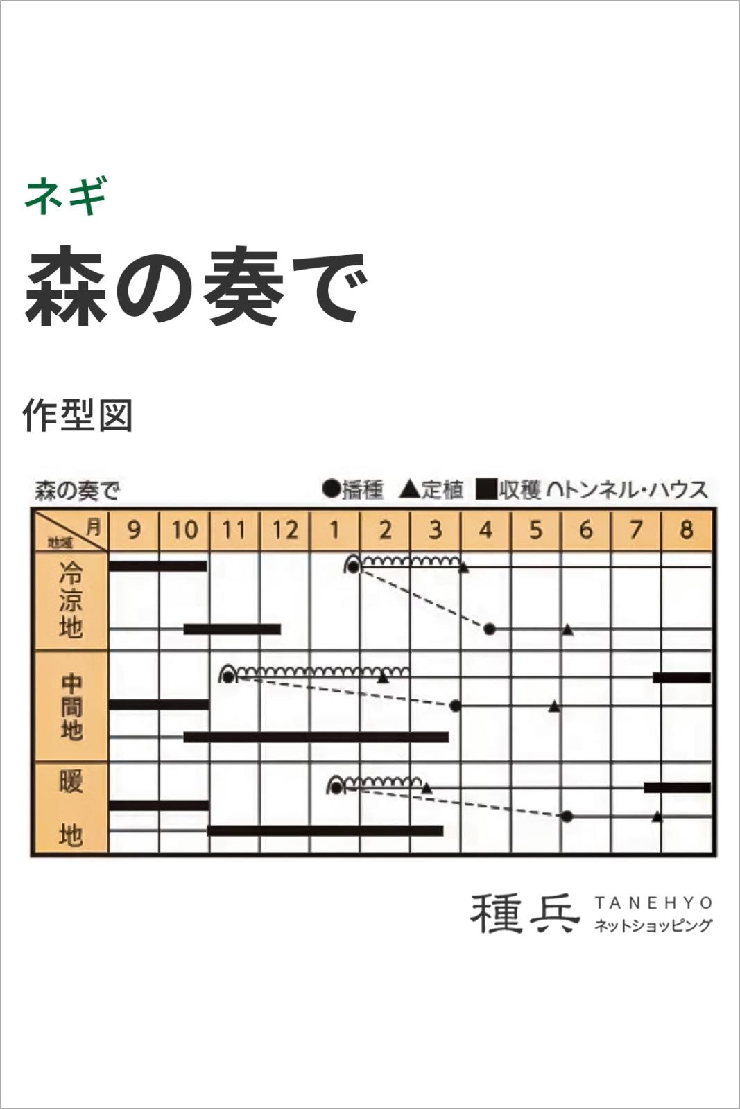 根深ネギ 種 『森の奏で』 トキタ種苗 | たね,葉菜の種,ネギ,根深・白