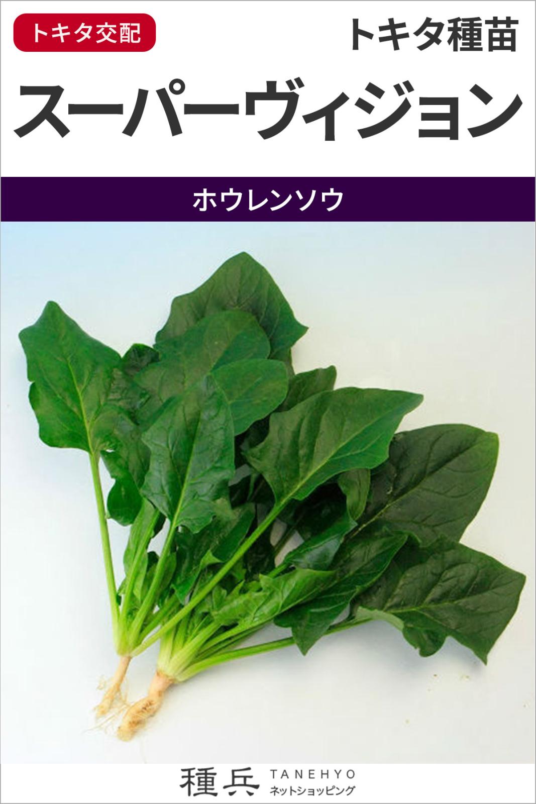 ホウレンソウ 種 『スーパーヴィジョン』  トキタ種苗
