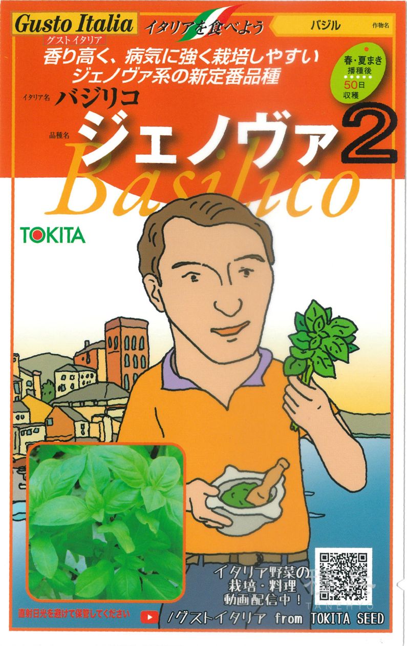 バジル 種 『ジェノヴァ2』  トキタ種苗