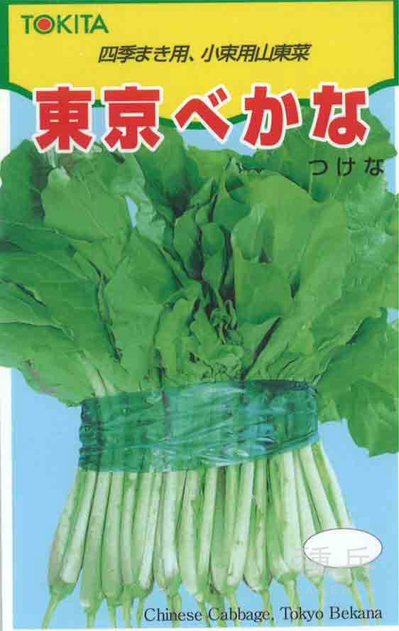 ツケナ 種 『東京べかな』  トキタ種苗