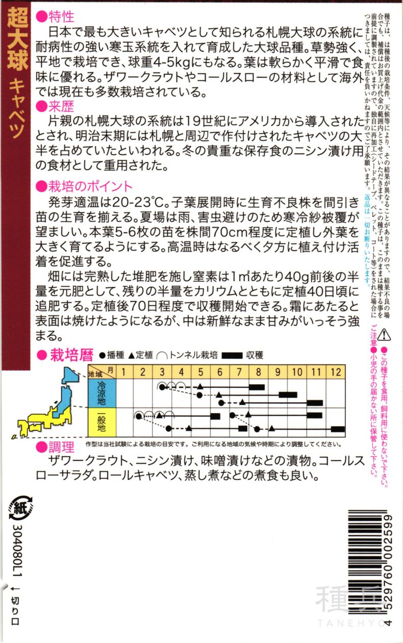キャベツ苗　200本　年内から年明けにかけての収穫 ジャンボキャベツ 種 『超大球』 トキタ種苗 | たね,葉菜の種