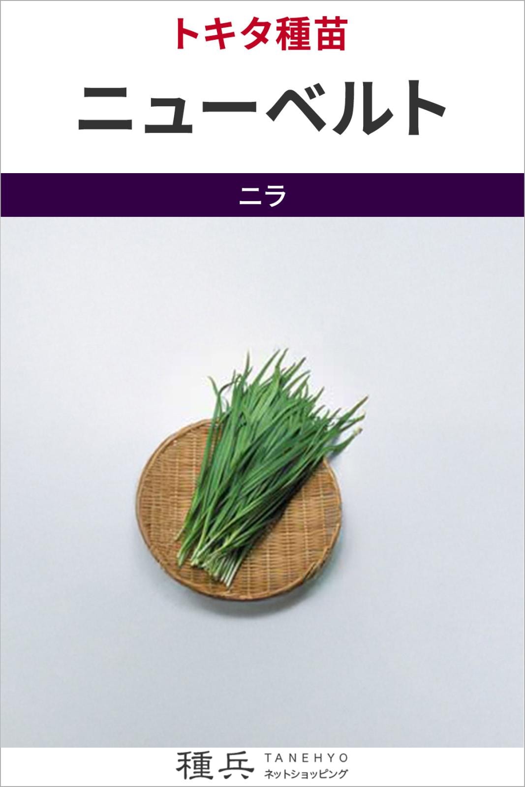 ニラ 種 『ニューベルト』  トキタ種苗