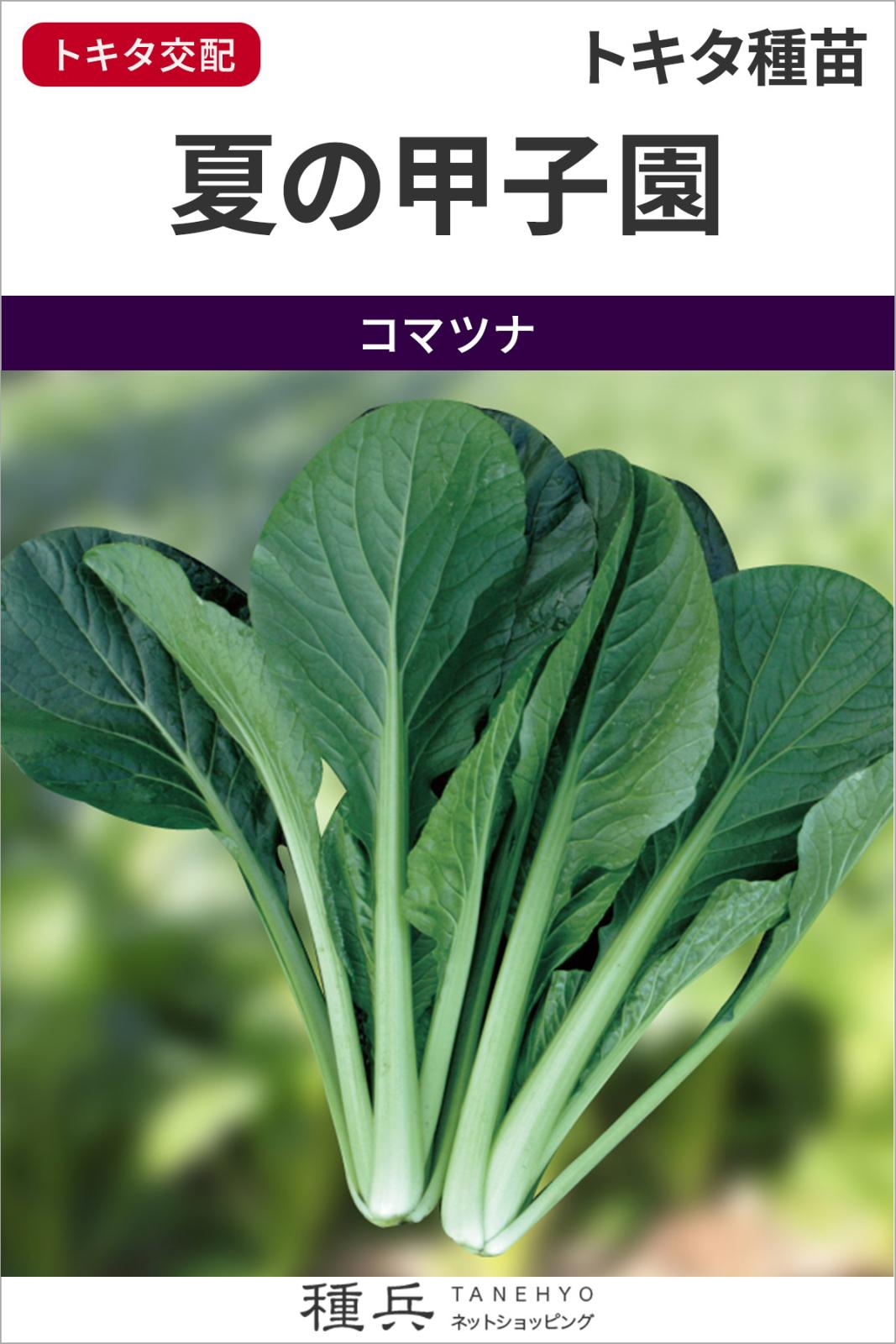 コマツナ 種 『夏の甲子園』  トキタ種苗