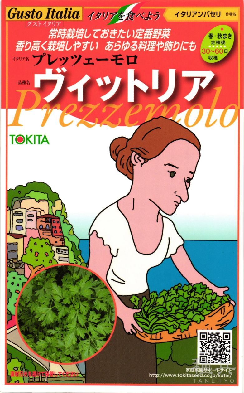 イタリアンパセリ 種 『ヴィットリア』  トキタ種苗