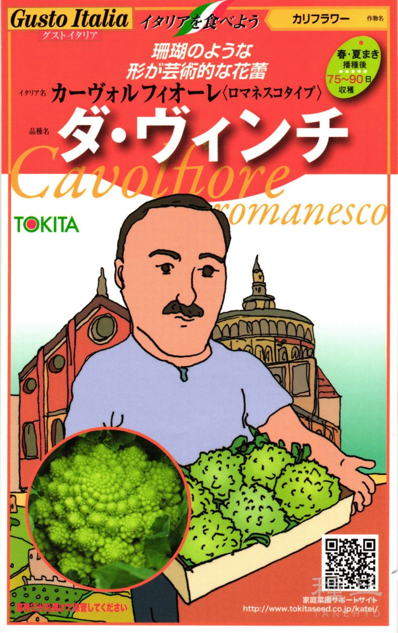 ロマネスコ 種 『ダ・ヴィンチ』  トキタ種苗