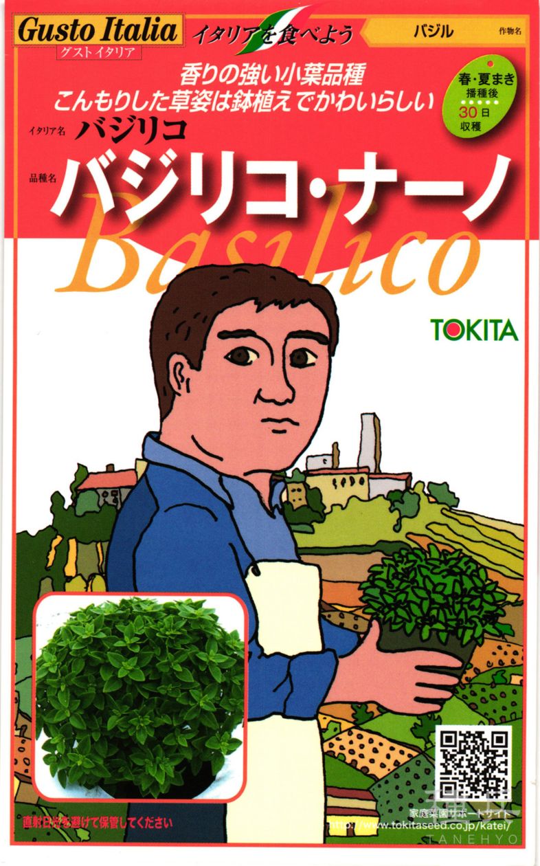 バジル 種 『バジリコ・ナーノ』  トキタ種苗