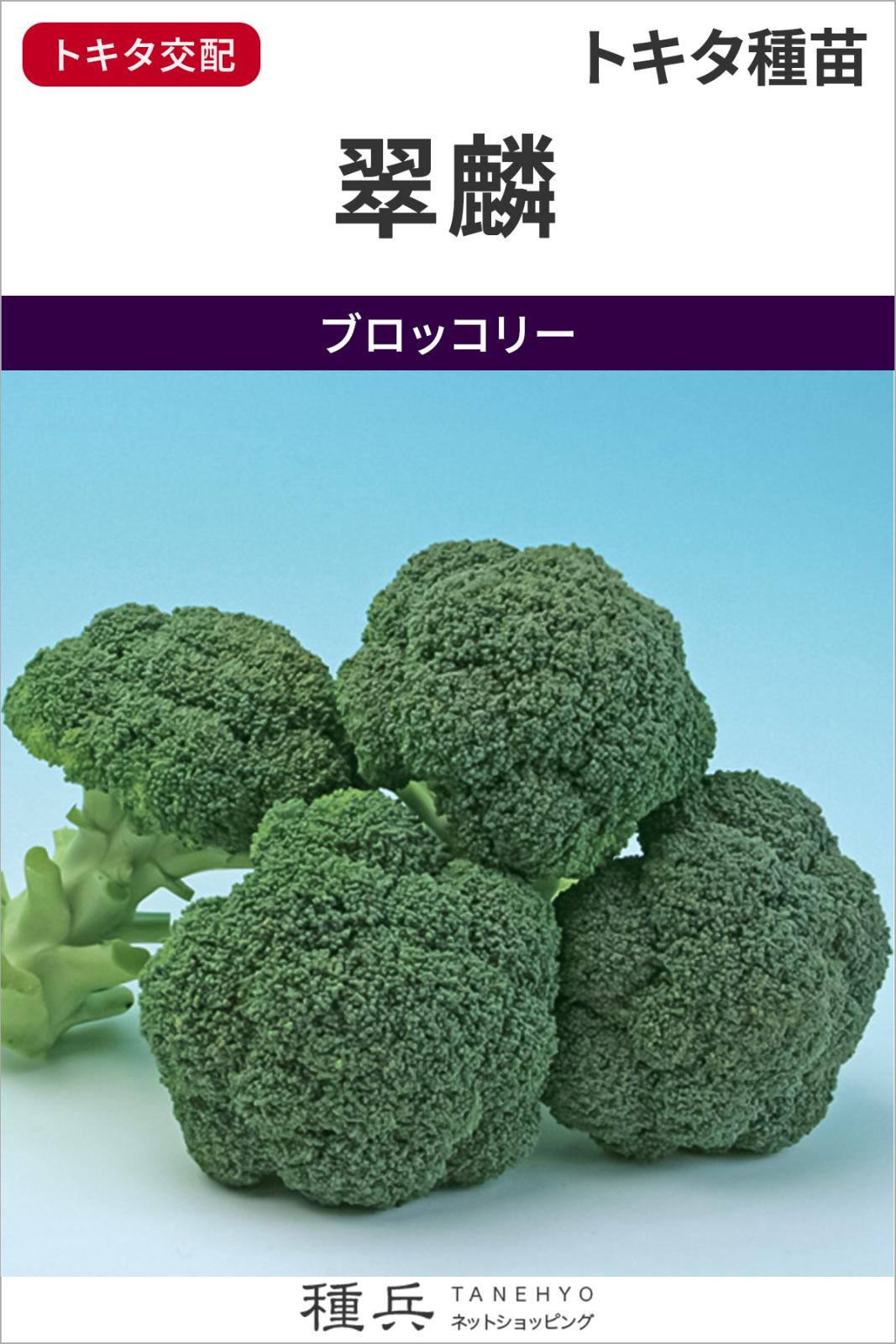 ブロッコリー 種 『翠麟』  トキタ種苗