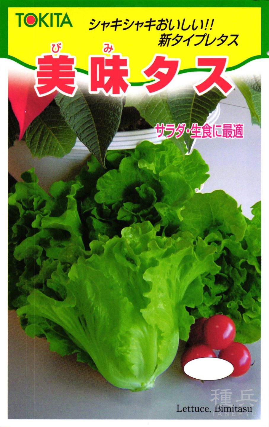 半結球レタス 種 『美味タス』  トキタ種苗