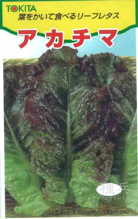 リーフレタス 種 『アカチマ』  トキタ種苗