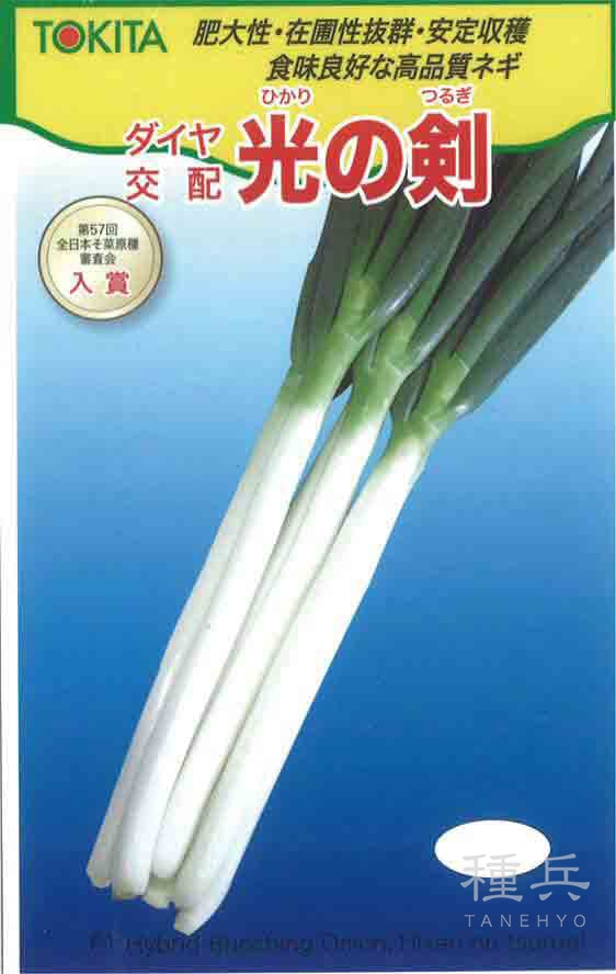根深ネギ 種 『光の剣』  トキタ種苗