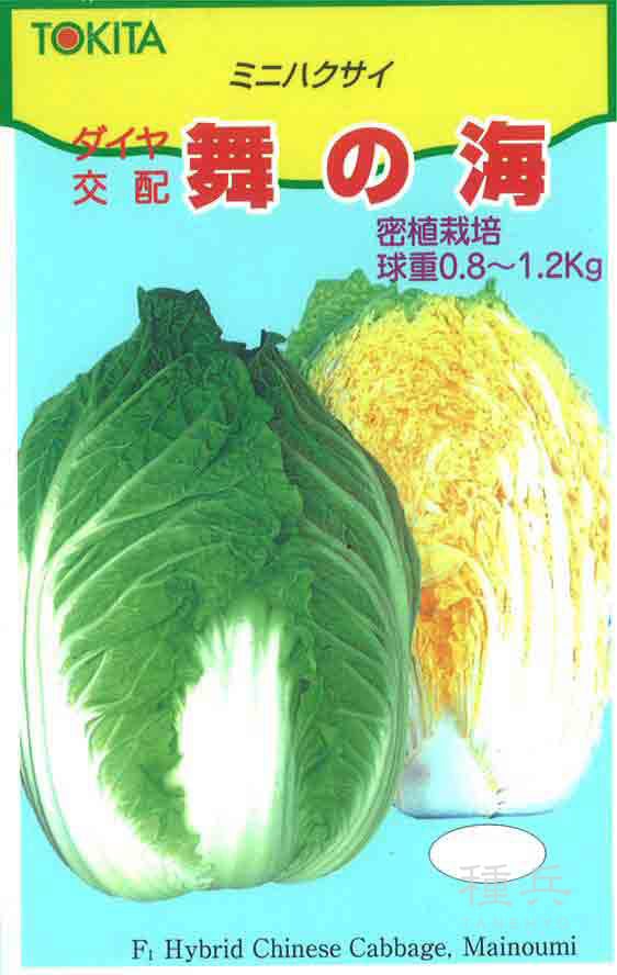 ハクサイ 種 『舞の海』  トキタ種苗