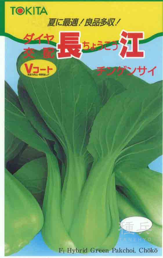 チンゲンサイ 種 『長江』  トキタ種苗
