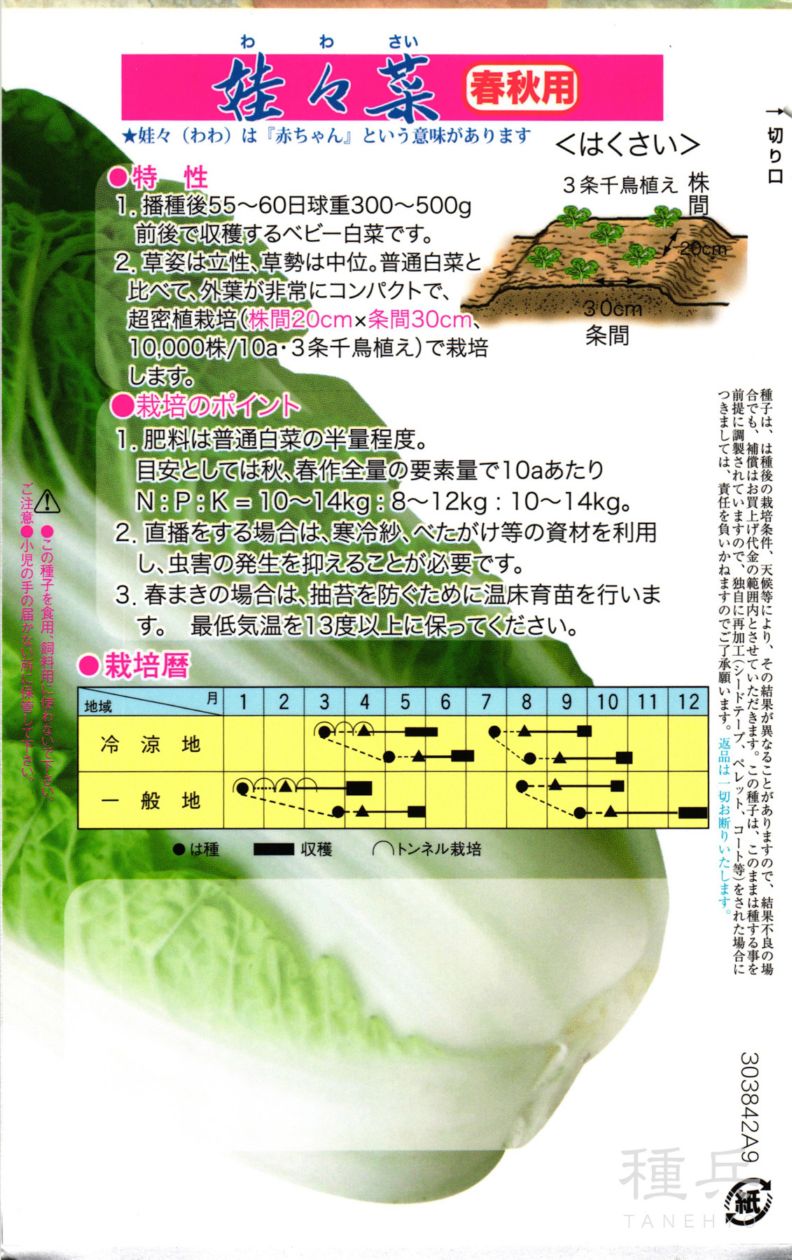 ミニハクサイ 種 『娃々菜』 トキタ種苗 | たね,葉菜の種,ハクサイ