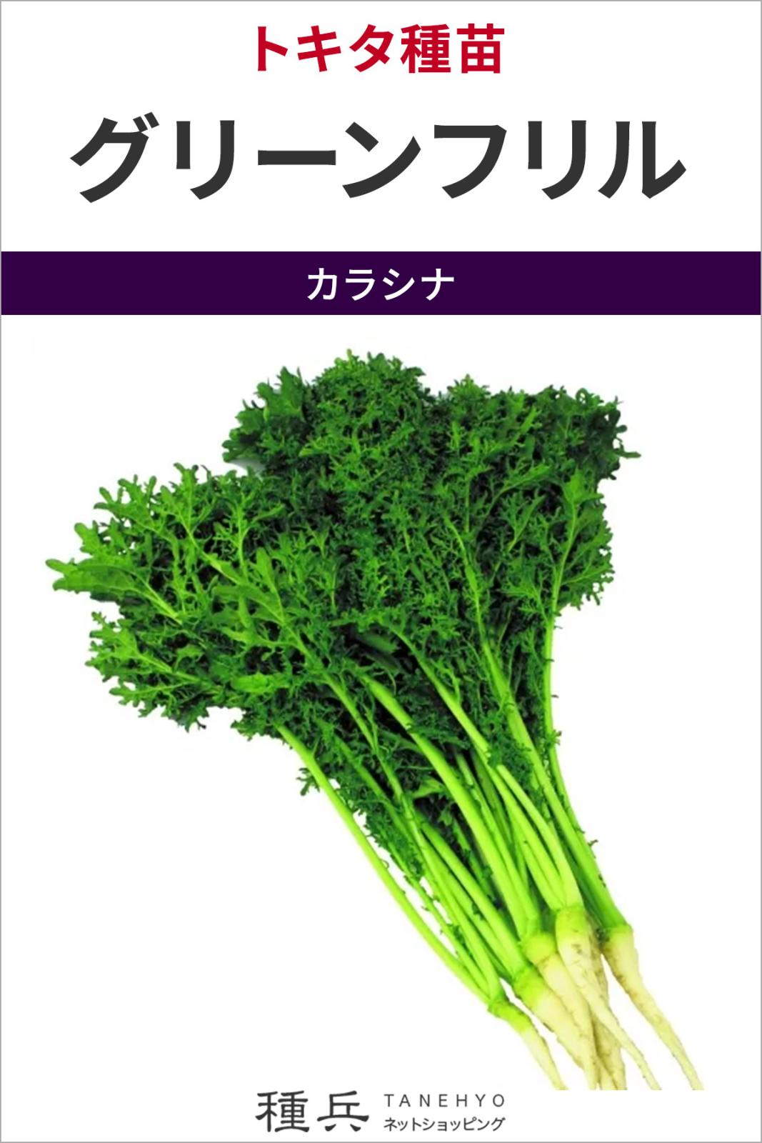 カラシナ 種 『グリーンフリル』  トキタ種苗