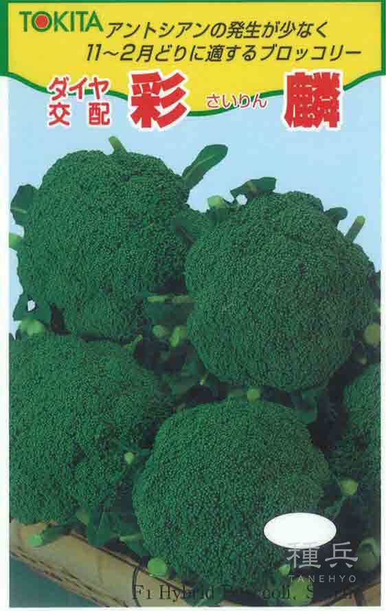 ブロッコリー 種 『彩麟』  トキタ種苗
