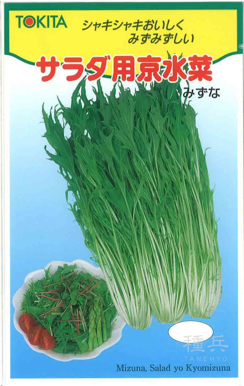 ミズナ 種 『サラダ用京水菜』  トキタ種苗