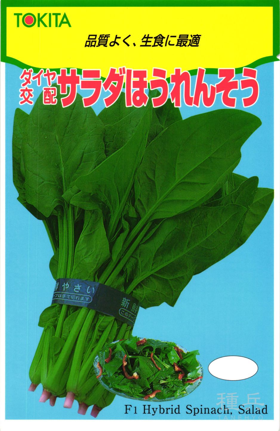 ホウレンソウ 種 『サラダほうれんそう』  トキタ種苗