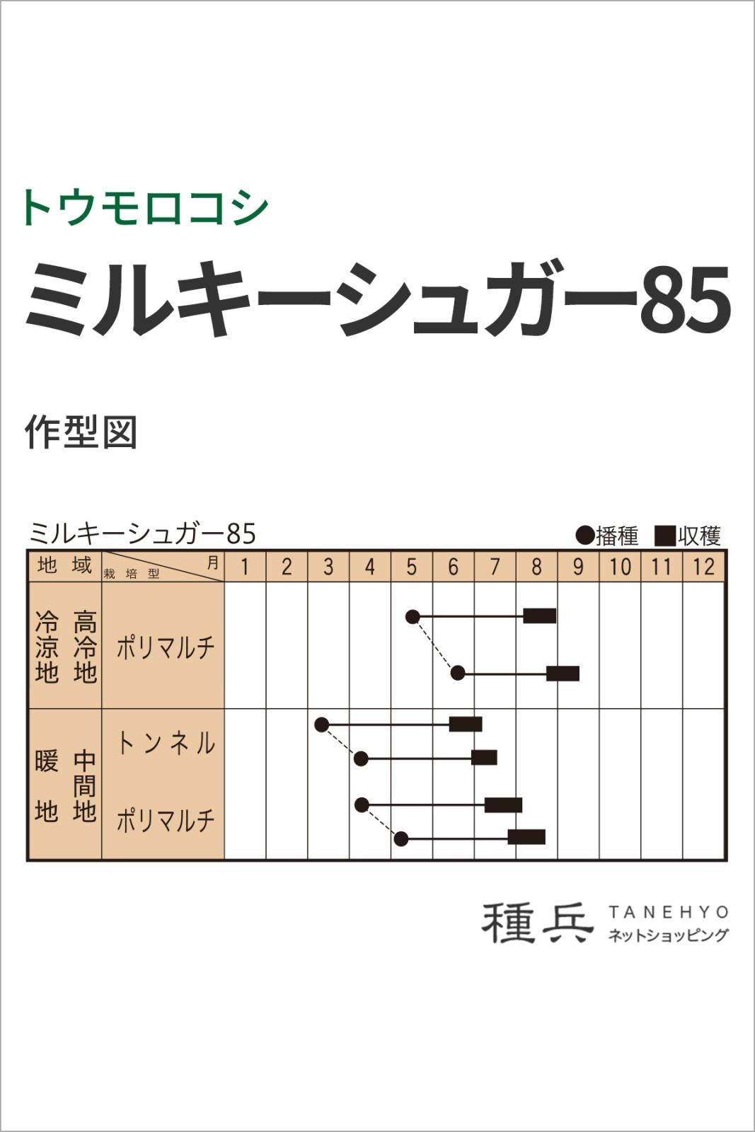 スイートコーン 種 『ミルキーシュガー85』 トキタ種苗 | たね,果菜の