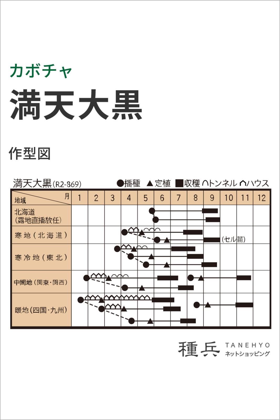 栗カボチャ 種 『満天大黒』 トキタ種苗 | たね,果菜の種,カボチャ,栗