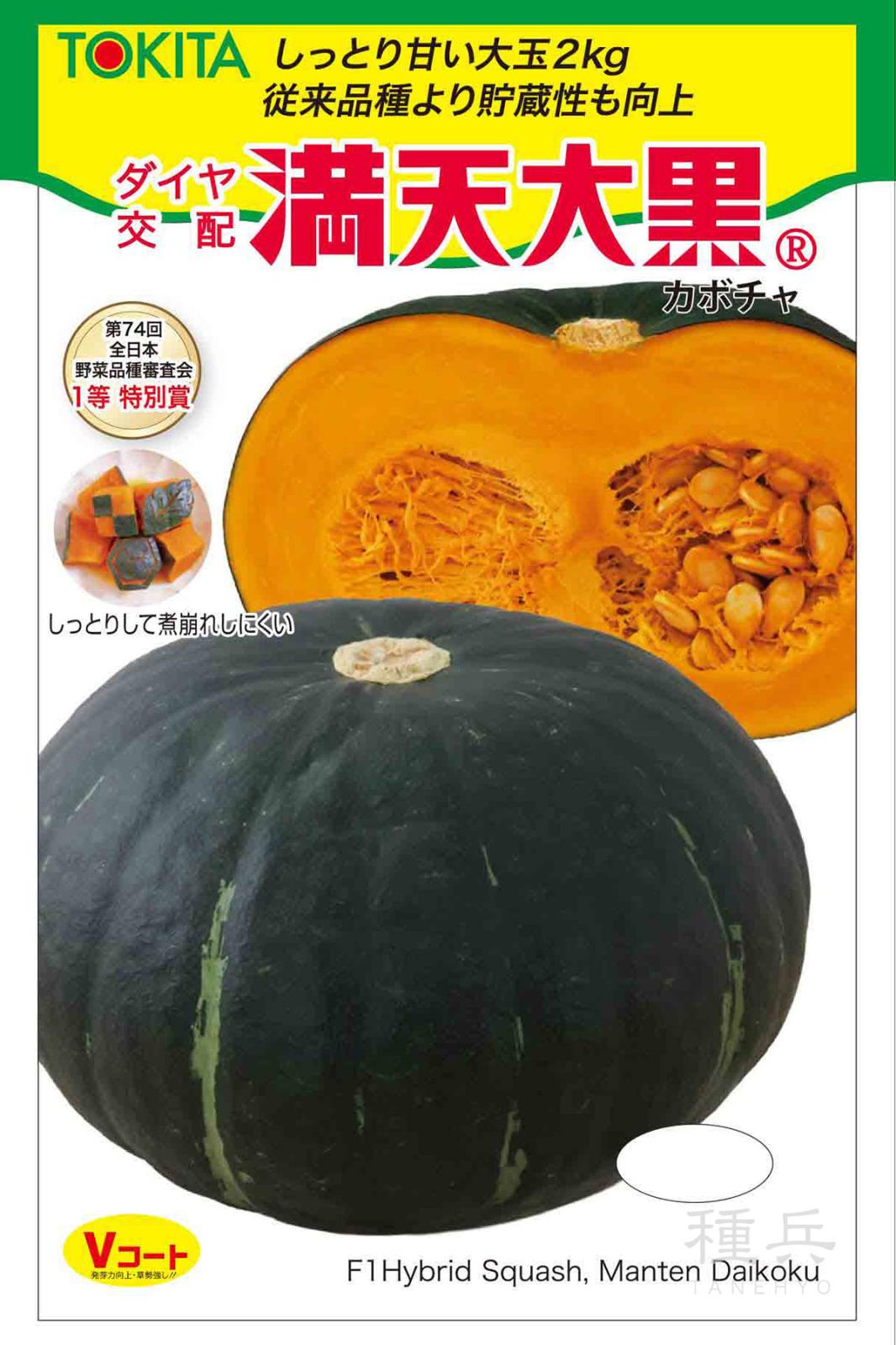 栗カボチャ 種 『満天大黒』  トキタ種苗