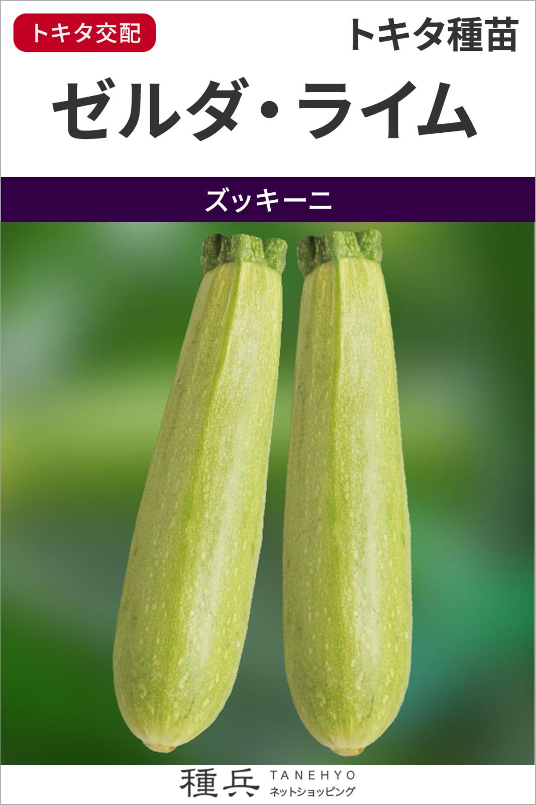 ズッキーニ 種 『ゼルダ・ライム』  トキタ種苗