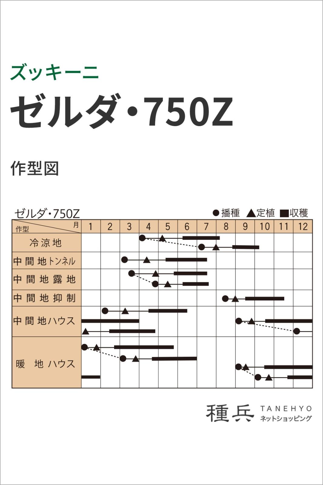 ズッキーニ 種 『ゼルダ・750Z（TSX?750Z）』 トキタ種苗 | たね