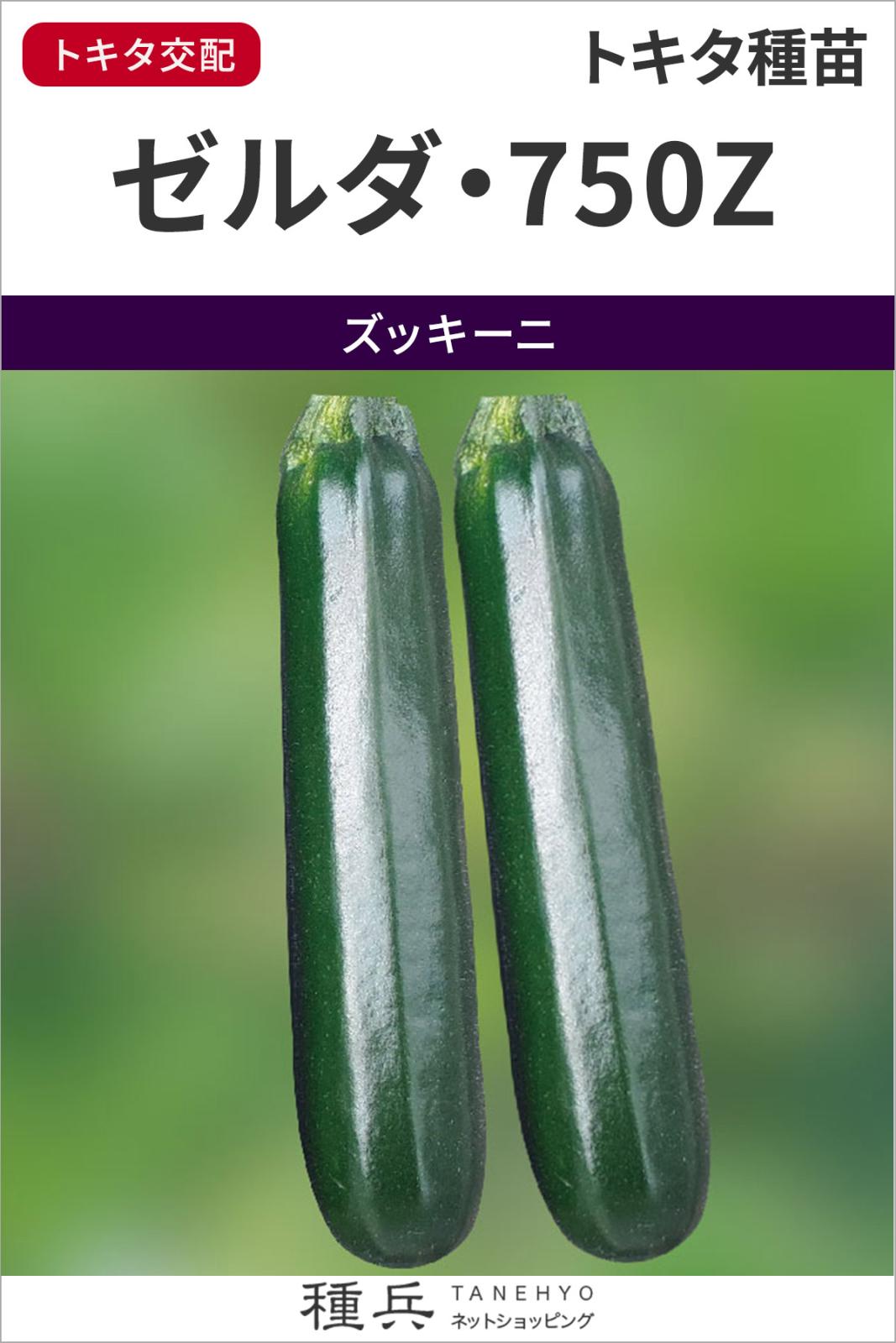 ズッキーニ 種 『ゼルダ・７５０Z（TSX?750Z）』  トキタ種苗