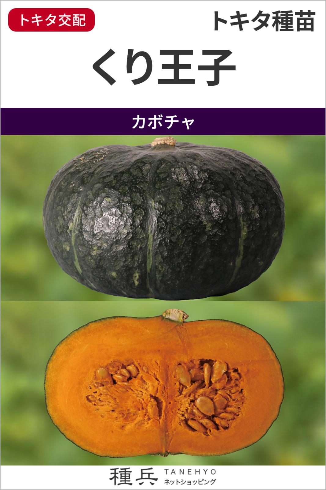 栗カボチャ 種 『くり王子』  トキタ種苗