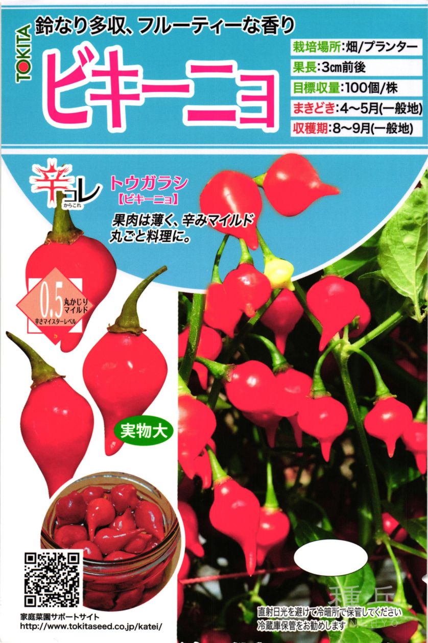 トウガラシ 種 『ビキーニョ』 トキタ種苗 | たね,果菜の種,ピーマン