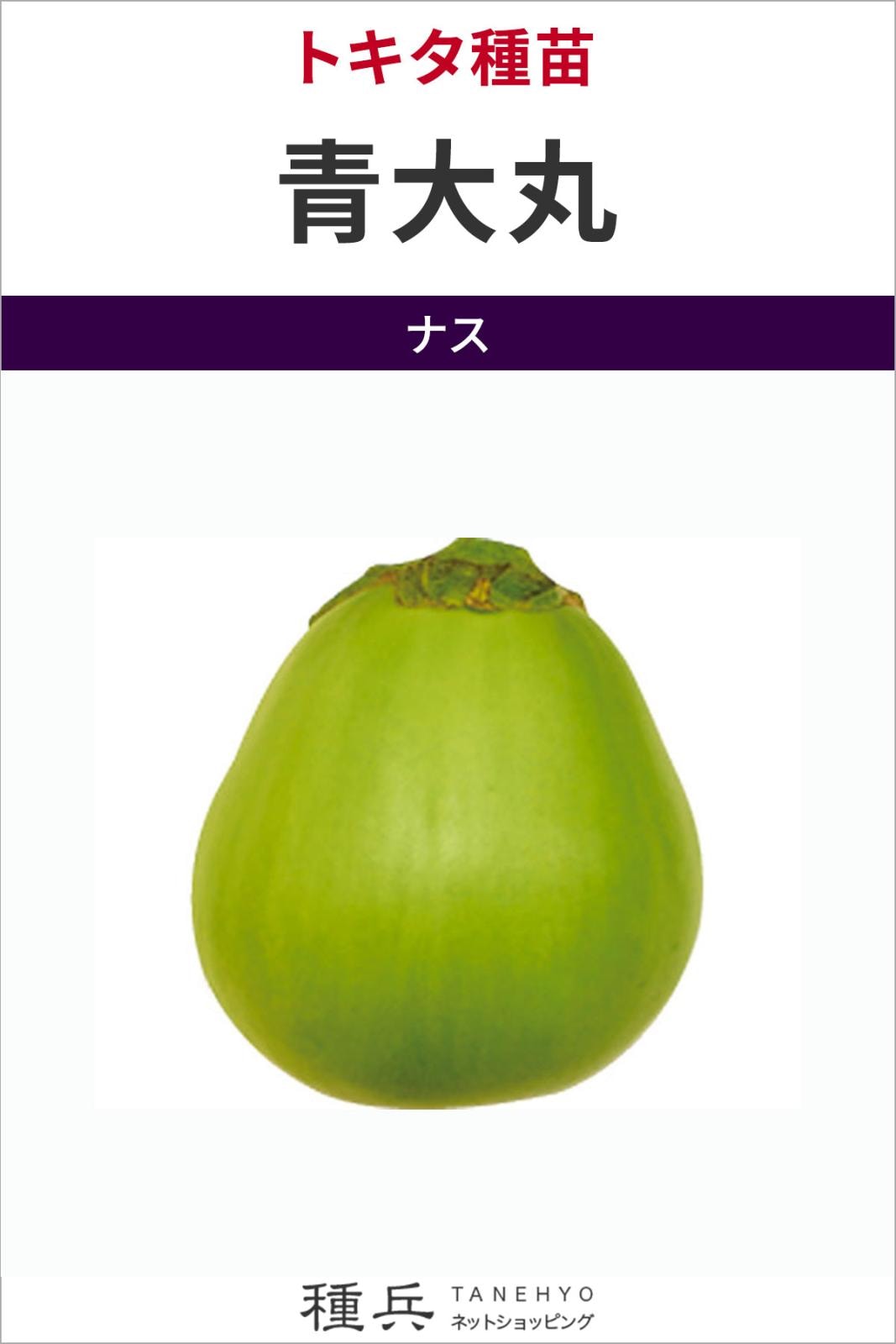 巾着形ナス 種 『青大丸』  トキタ種苗