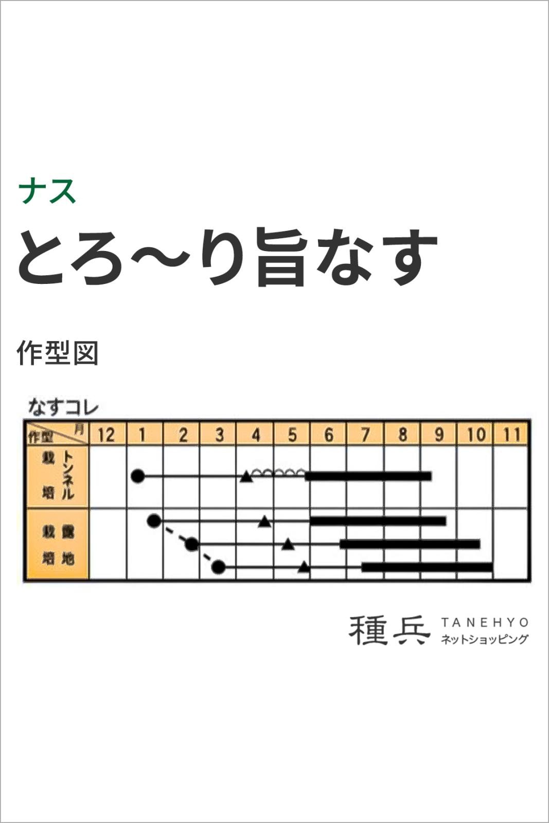 白ナス 種 『とろ～り旨なす』 トキタ種苗 | たね,果菜の種,ナス
