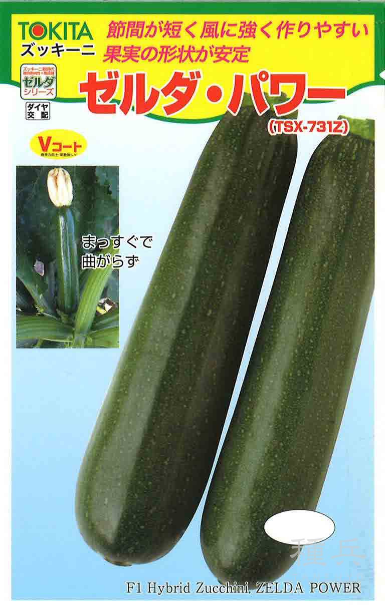 ズッキーニ 種 『ゼルダ・パワー』  トキタ種苗
