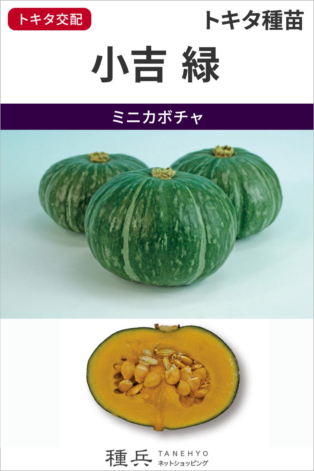 ミニカボチャ 種 『小吉 緑』  トキタ種苗