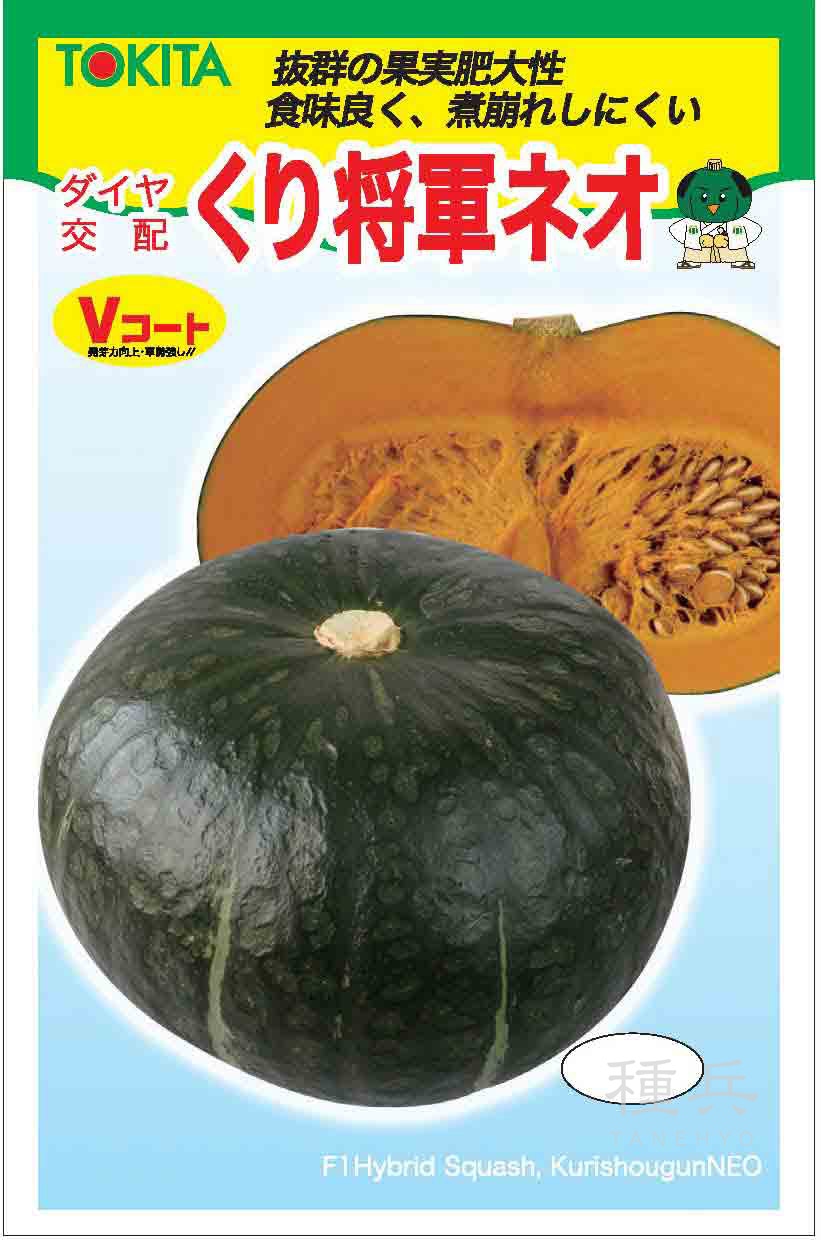 栗カボチャ 種 『くり将軍ネオ』  トキタ種苗