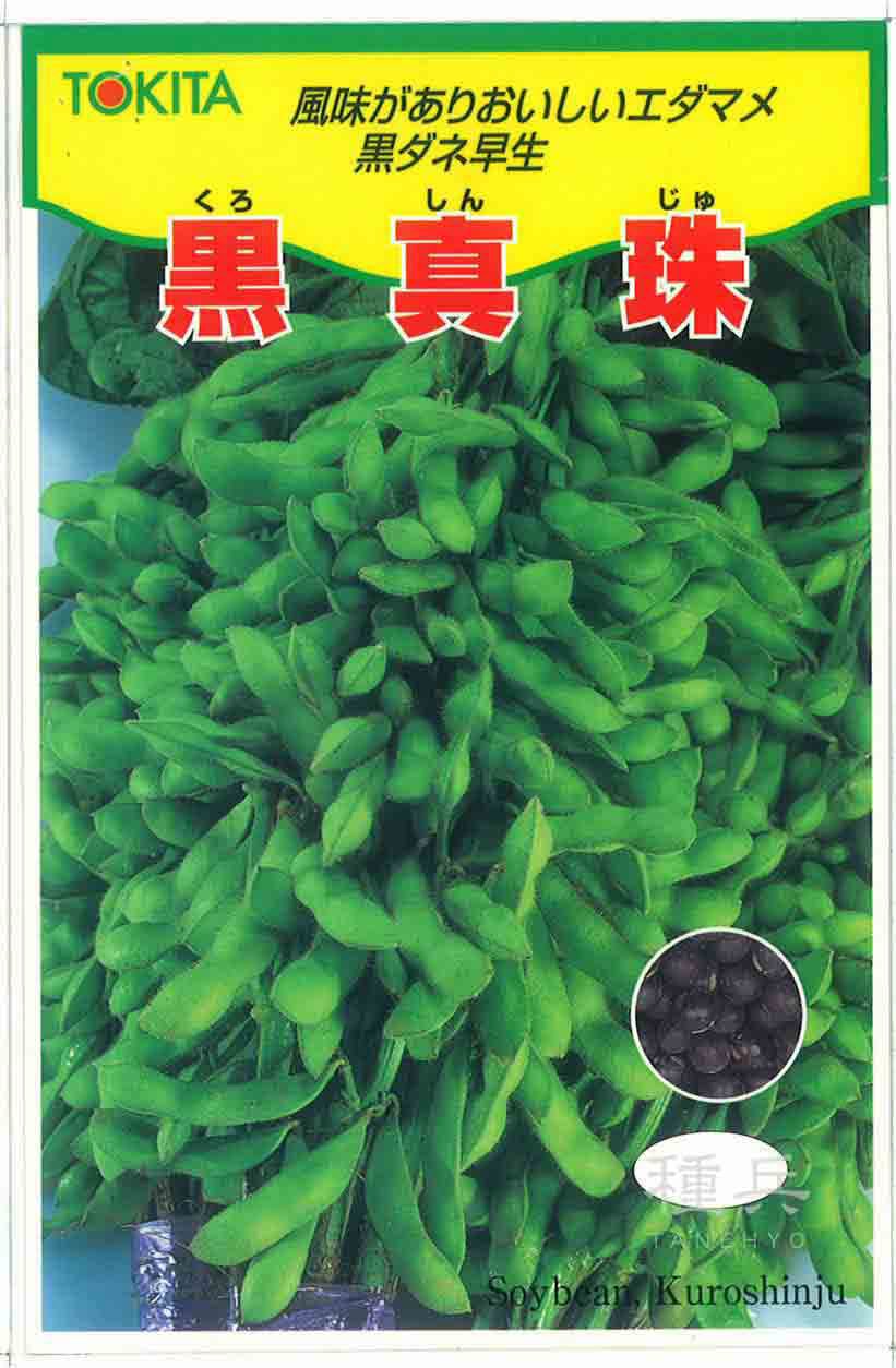 黒豆風味エダマメ 種 『黒真珠』  トキタ種苗