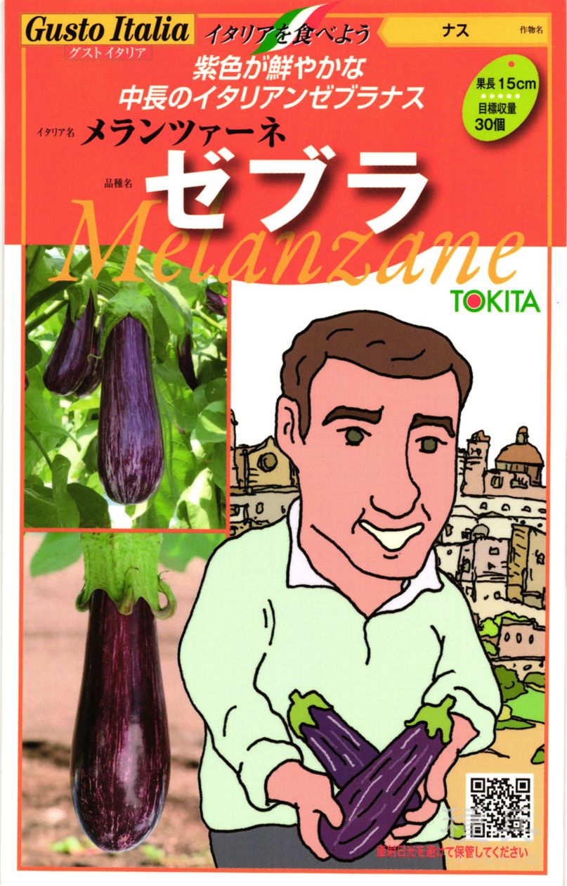 ゼブラナス 種 『メランツァーネ・ゼブラ』  トキタ種苗