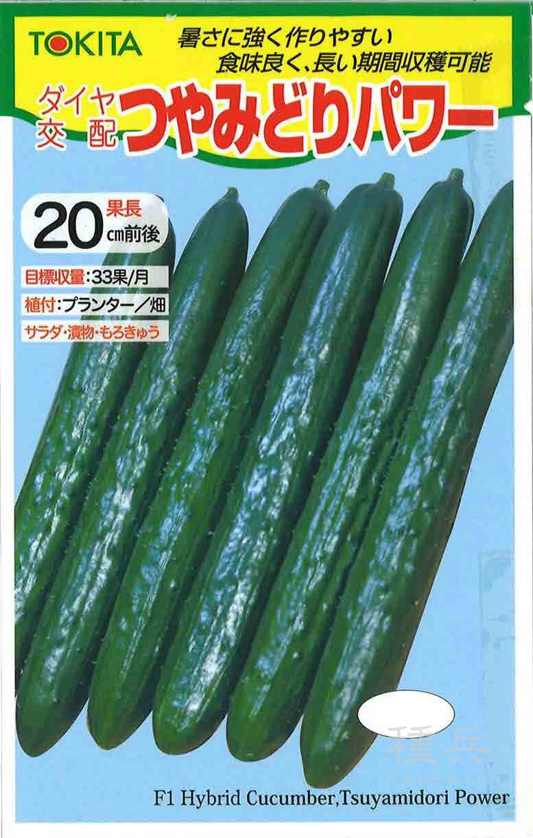 キュウリ 種 『つやみどりパワー』  トキタ種苗